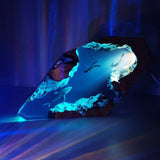 Divers | Hai-yövalaisin-EmiyoSuomi