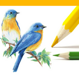 Emiyo | öljyvärinen kynäsarja-EmiyoSuomi