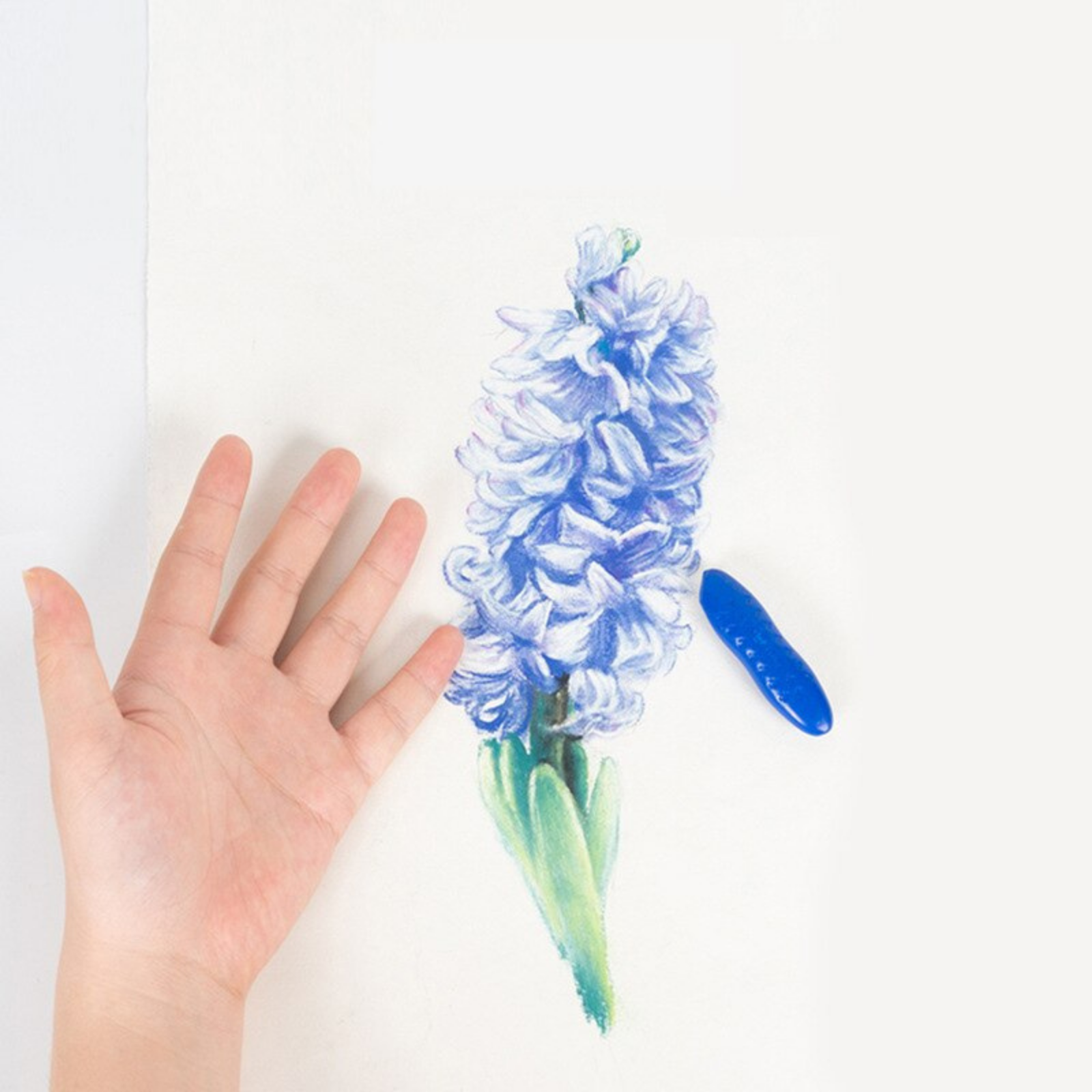 Pea | Maapähkinä värikynät-EmiyoSuomi