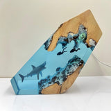 Divers | Hai-yövalaisin-EmiyoSuomi