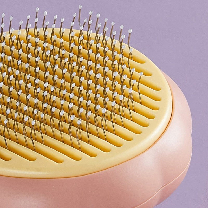 Panu | Kurpitsa lemmikkikampa-EmiyoSuomi