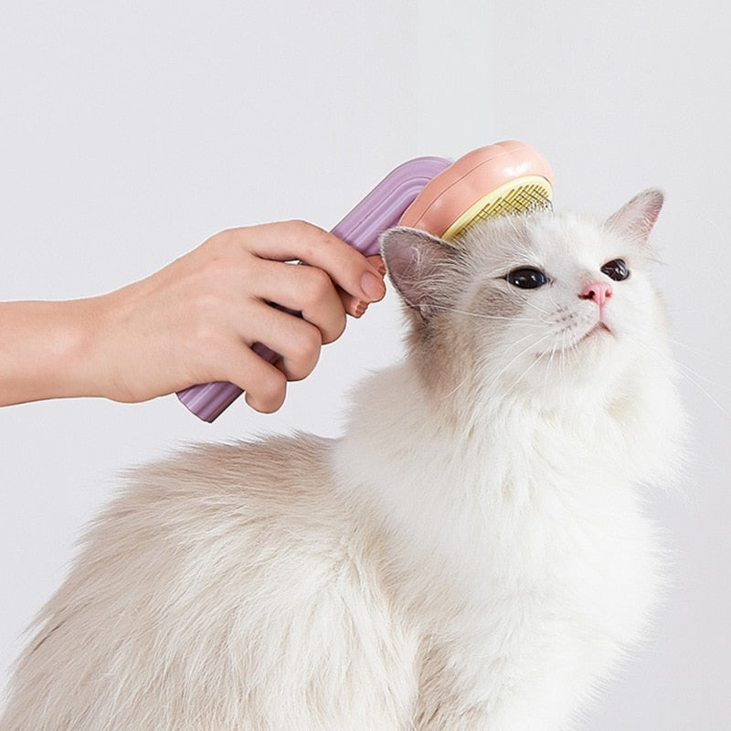 Panu | Kurpitsa lemmikkikampa-EmiyoSuomi