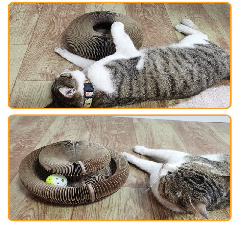 Kalle | Kissan raapimislauta-EmiyoSuomi