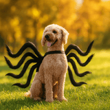 Hauska Furry Koira Halloween Puku - Pelottava Hämähäkkimuotoilu - Uniikki Asu - EmiyoSuomi - Halloween