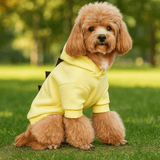 Hund Dinosaur Halloween Hoodie - Lämmin Fleece Puku - Hauska Lemmikkivaatteet - EmiyoSuomi - Halloween