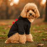 Hund Dinosaur Halloween Hoodie - Lämmin Fleece Puku - Hauska Lemmikkivaatteet - EmiyoSuomi - Halloween